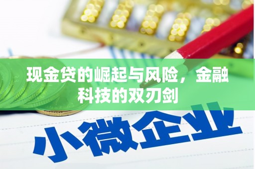 东丰现金贷的崛起与风险，金融科技的双刃剑