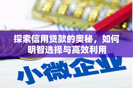 东丰探索信用贷款的奥秘，如何明智选择与高效利用