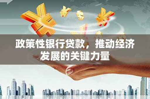 东丰政策性银行贷款，推动经济发展的关键力量