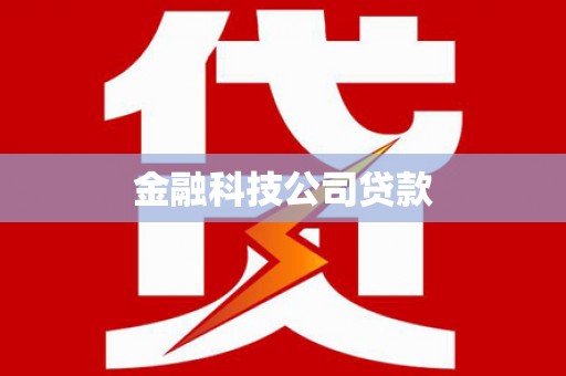 东丰金融科技公司贷款