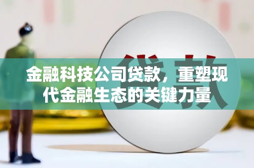 东丰金融科技公司贷款，重塑现代金融生态的关键力量