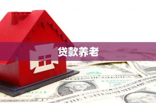 东丰贷款养老