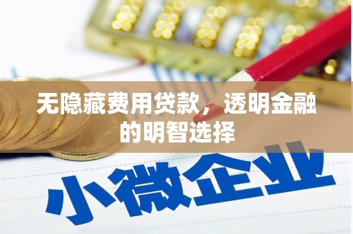 东丰无隐藏费用贷款，透明金融的明智选择