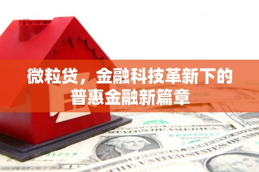 东丰微粒贷，金融科技革新下的普惠金融新篇章