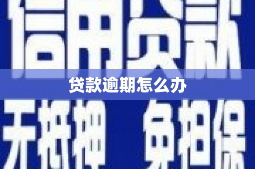 东丰贷款逾期怎么办