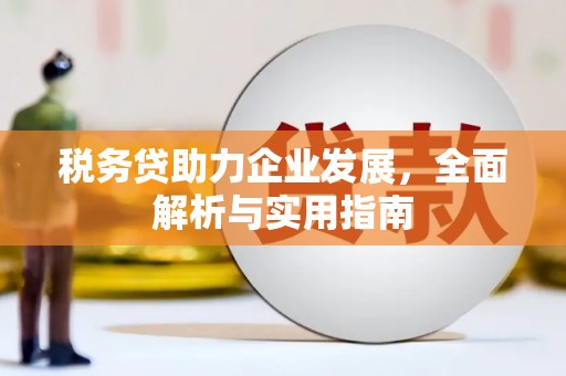 东丰税务贷助力企业发展，全面解析与实用指南