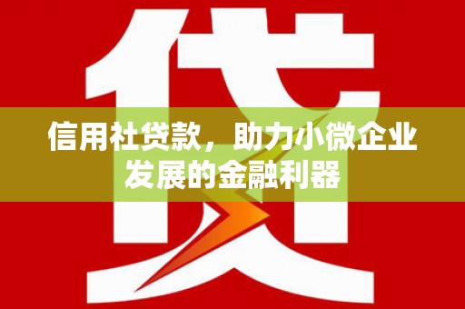 东丰信用社贷款，助力小微企业发展的金融利器