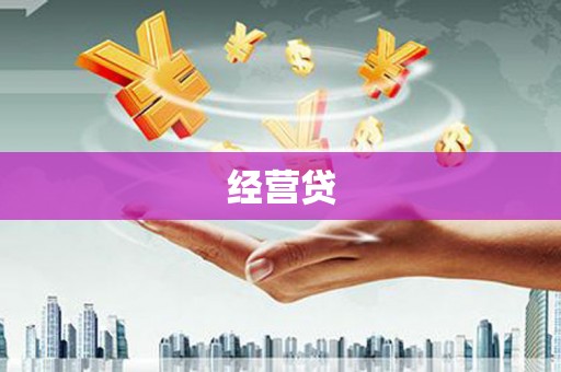 东丰经营贷