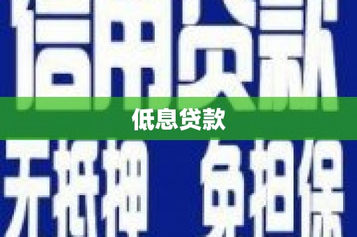 东丰低息贷款