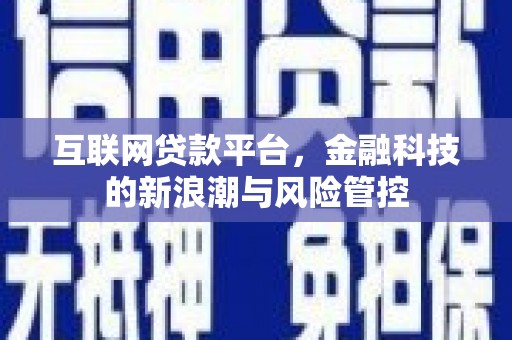 东丰互联网贷款平台，金融科技的新浪潮与风险管控