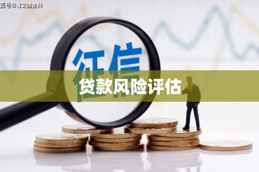 东丰贷款风险评估