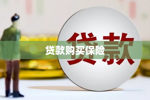 东丰贷款购买保险