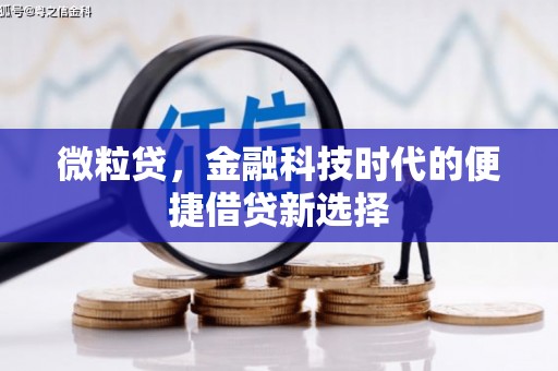 东丰微粒贷，金融科技时代的便捷借贷新选择