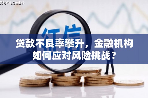 东丰贷款不良率攀升，金融机构如何应对风险挑战？