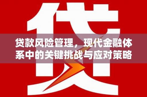 东丰贷款风险管理，现代金融体系中的关键挑战与应对策略