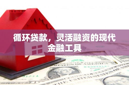 东丰循环贷款，灵活融资的现代金融工具