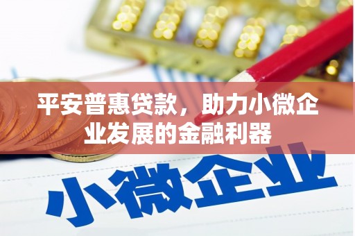 东丰平安普惠贷款，助力小微企业发展的金融利器