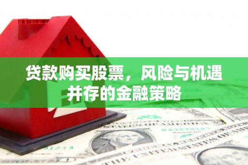 东丰贷款购买股票，风险与机遇并存的金融策略
