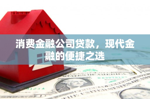 东丰消费金融公司贷款，现代金融的便捷之选