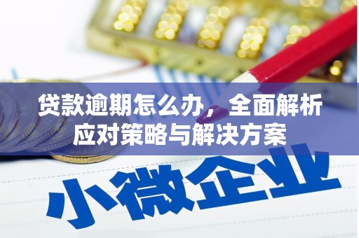 东丰贷款逾期怎么办，全面解析应对策略与解决方案