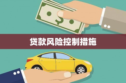 东丰贷款风险控制措施