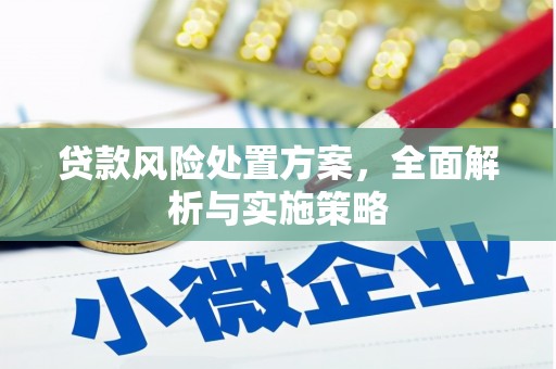 东丰贷款风险处置方案，全面解析与实施策略