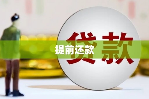 东丰提前还款