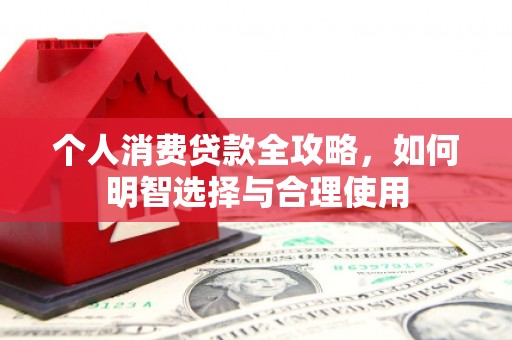 东丰个人消费贷款全攻略，如何明智选择与合理使用