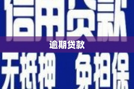 东丰逾期贷款