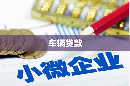 东丰车辆贷款